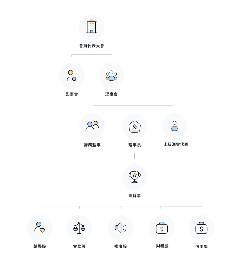 organization